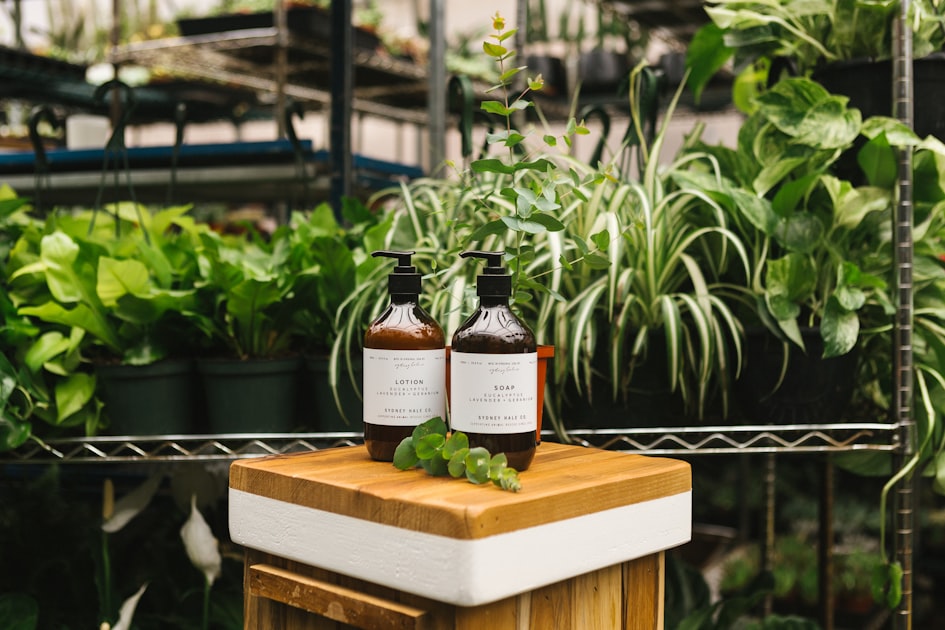 Radiate Growth: A Business Philosophy
